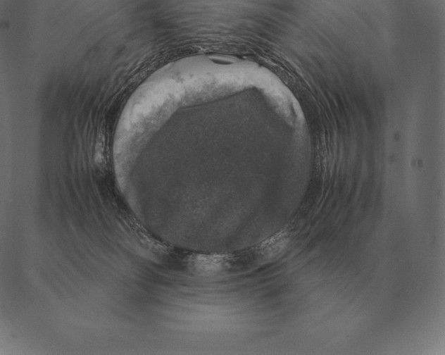 X0000087370134200705181226