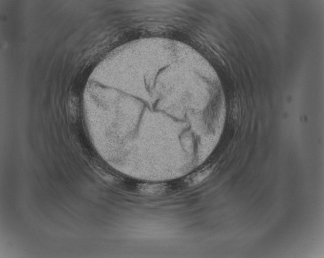 X0000087370135200705181226