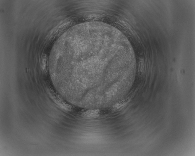 X0000087370138200705181226