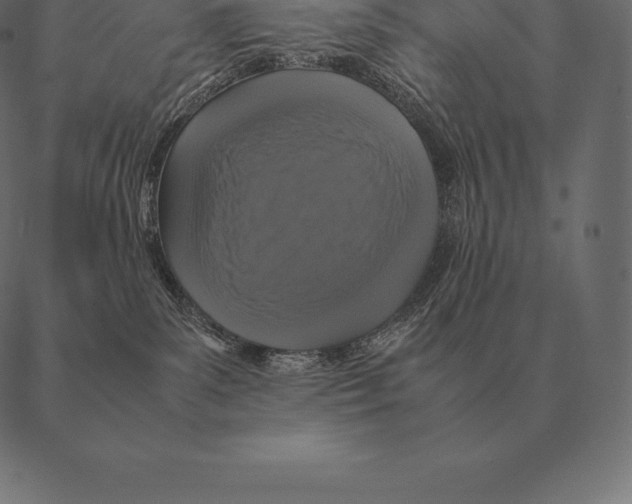 X0000087370139200705181226