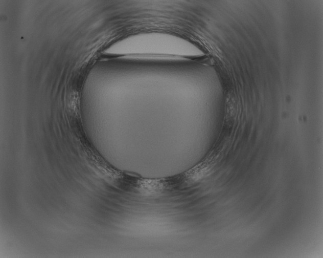 X0000087370141200705181226