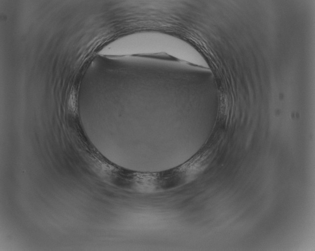 X0000087370143200705181226