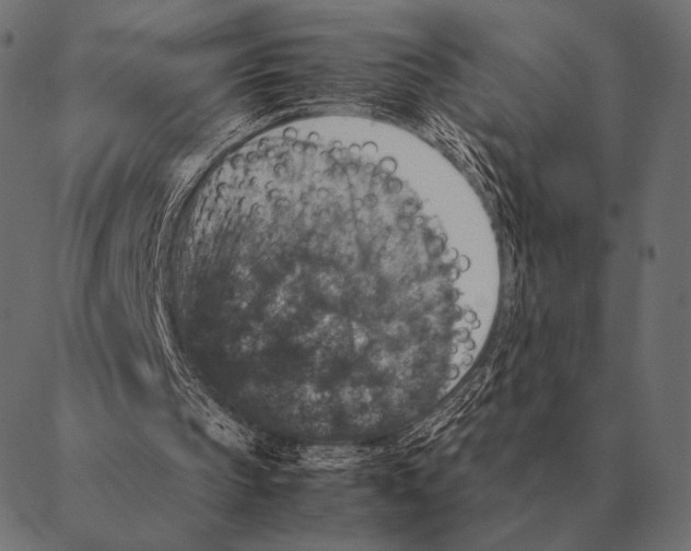 X0000087370145200705181225