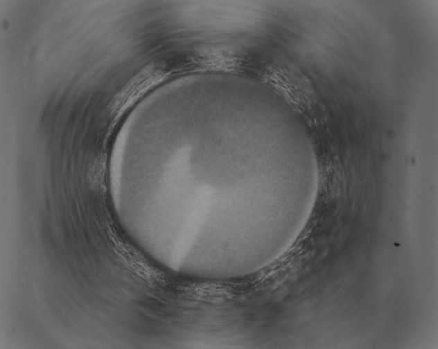 X0000087370146200705181225