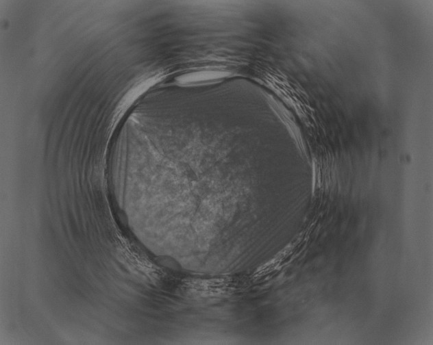 X0000087370147200705181225