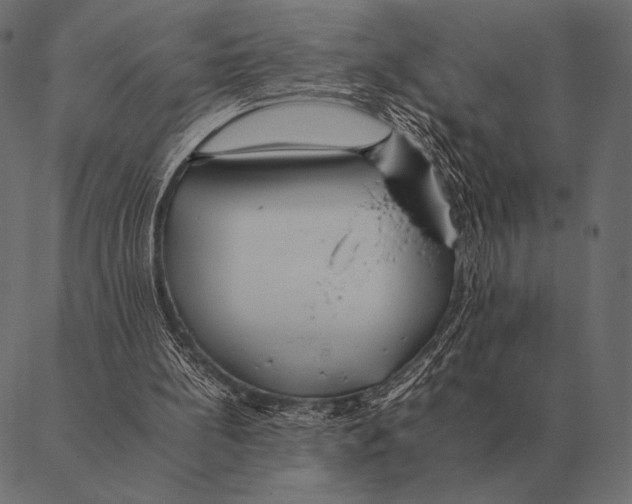 X0000087370148200705181225