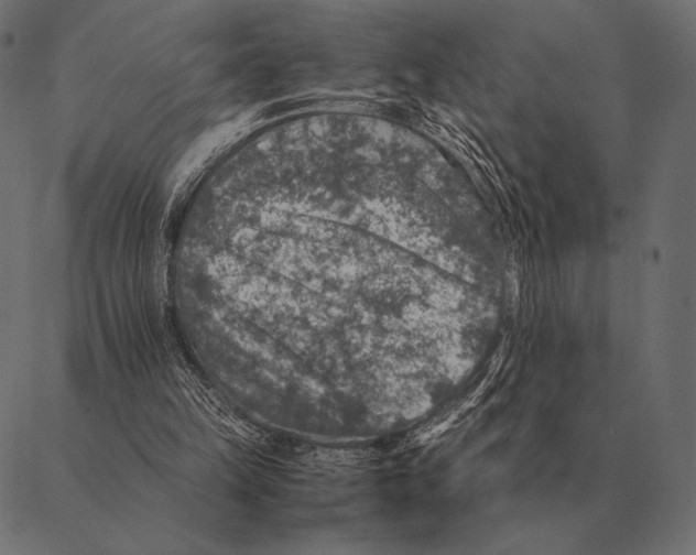 X0000087370149200705181225