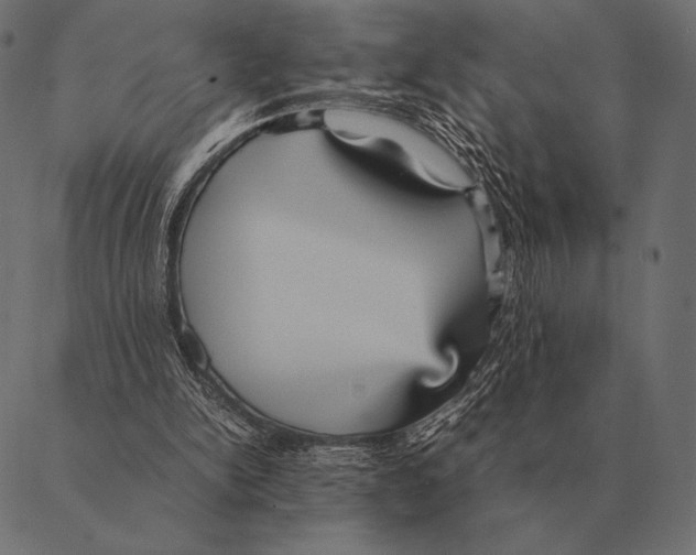 X0000087370150200705181225