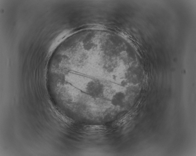 X0000087370151200705181225