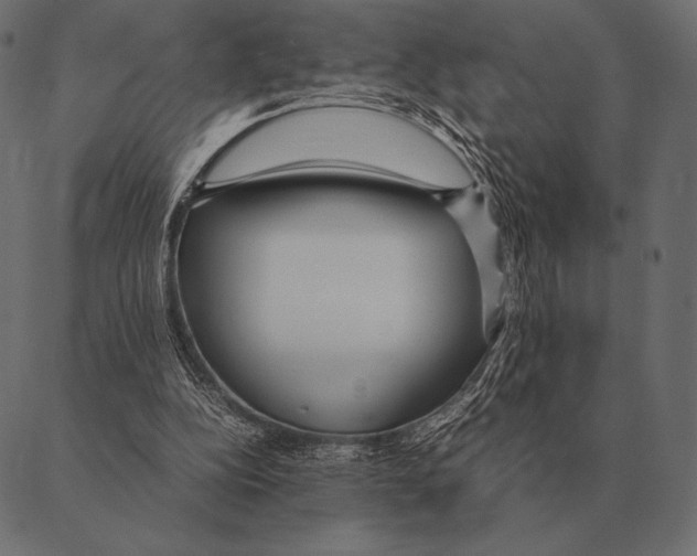 X0000087370152200705181225