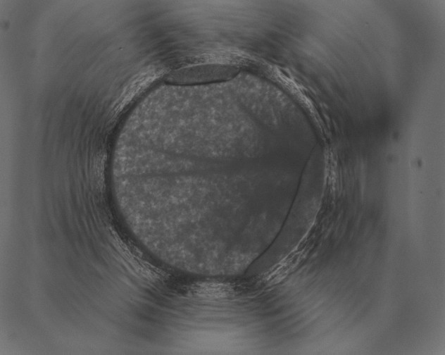 X0000087370154200705181225