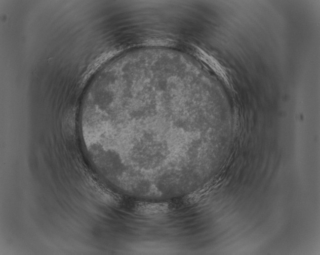 X0000087370155200705181225