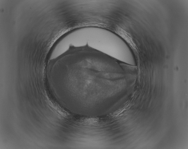 X0000087370156200705181225