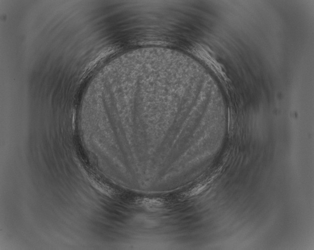 X0000087370157200705181225