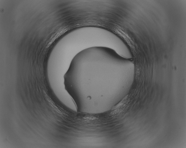 X0000087370158200705181225