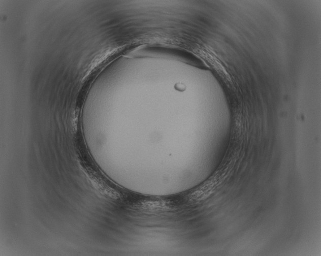 X0000087370160200705181225