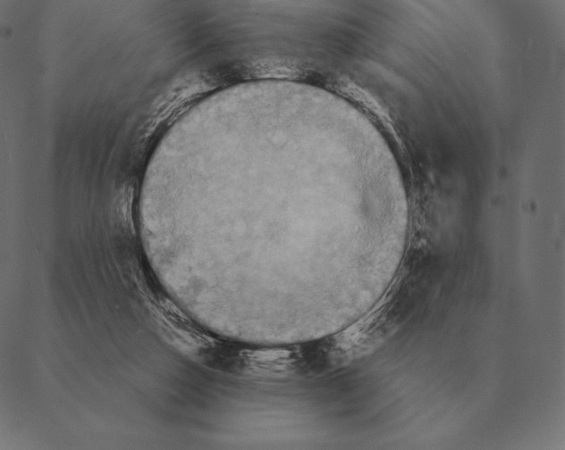 X0000087370162200705181225