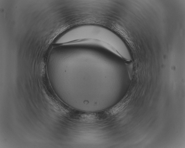 X0000087370164200705181225