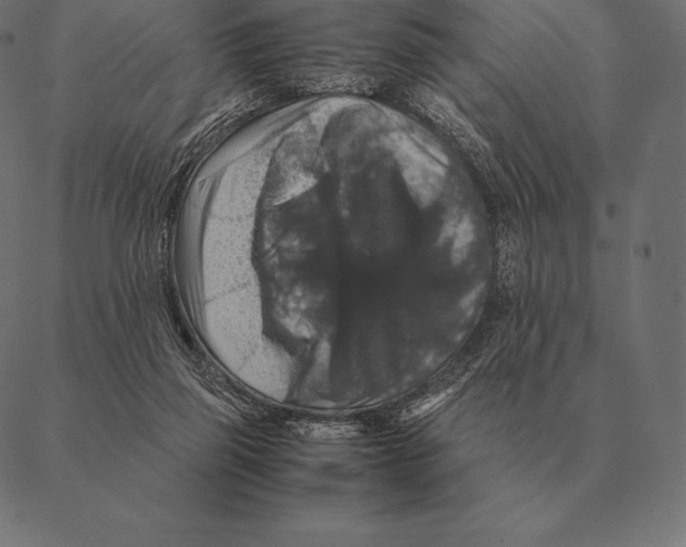 X0000087370165200705181225