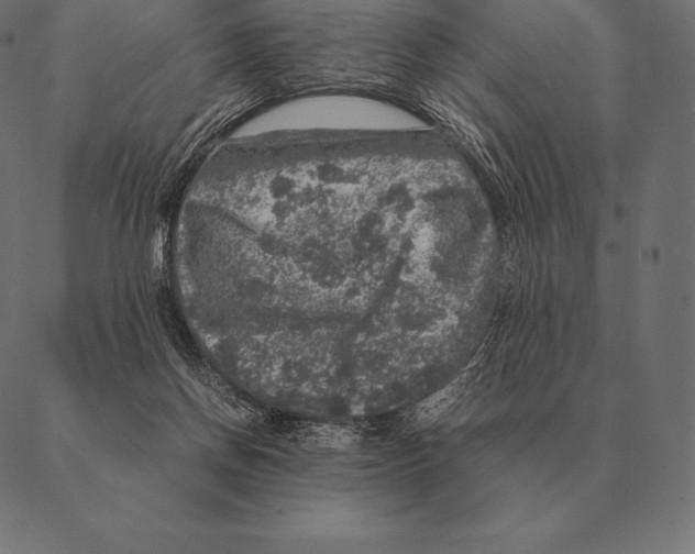 X0000087370166200705181225