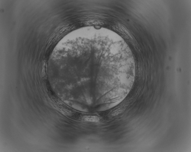 X0000087370169200705181225