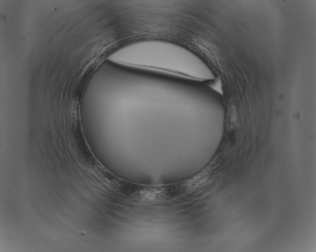 X0000087370172200705181225