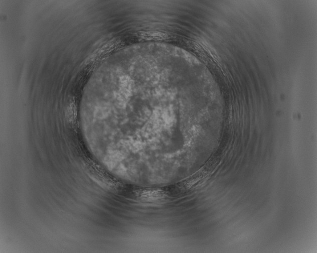 X0000087370173200705181226