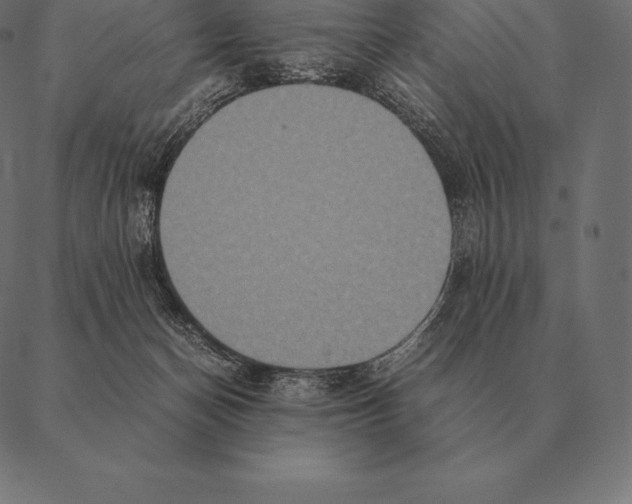 X0000087370174200705181226