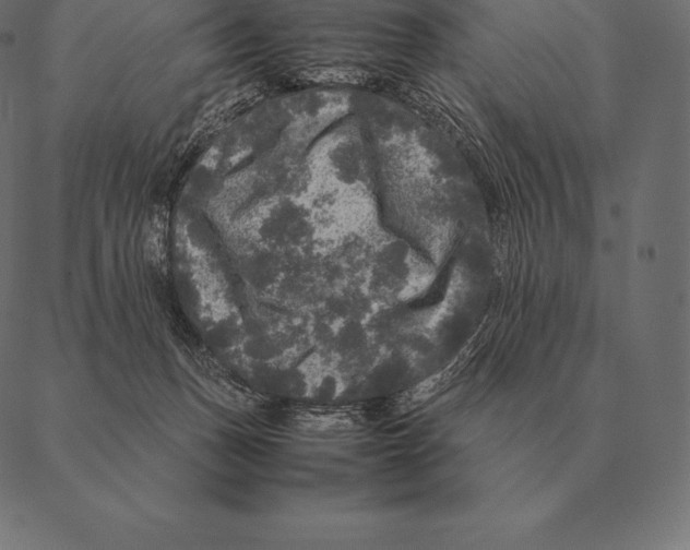 X0000087370175200705181226