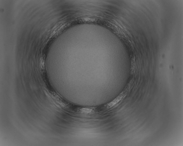 X0000087370176200705181226