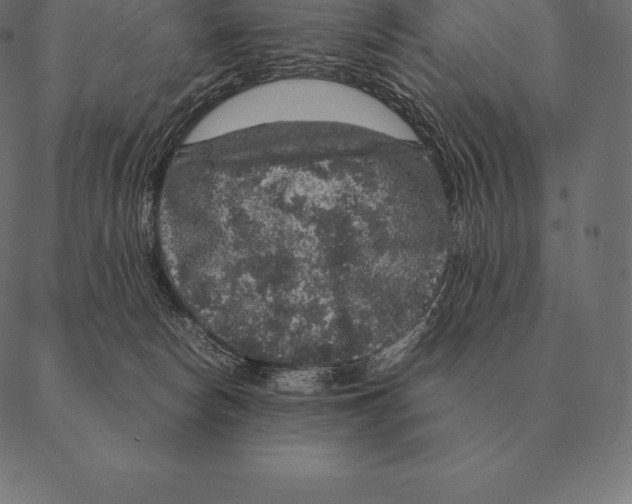 X0000087370178200705181226