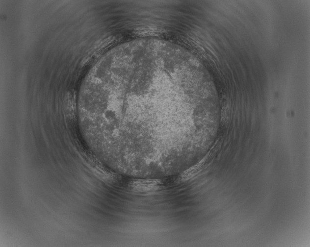 X0000087370179200705181226