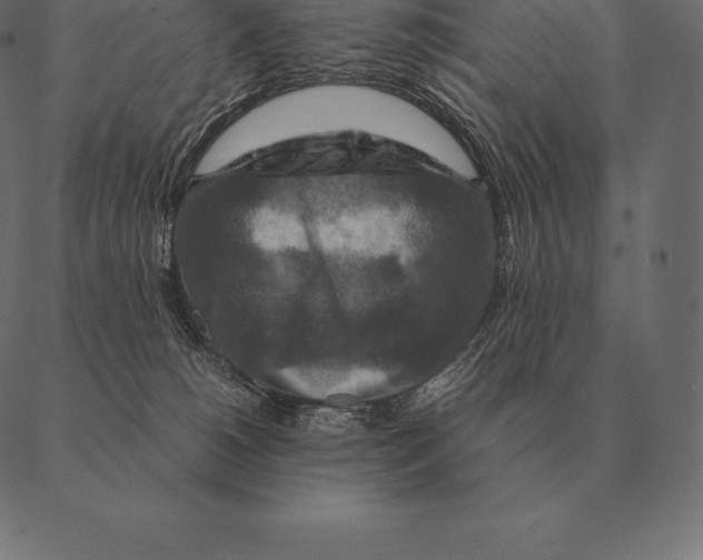 X0000087370180200705181226