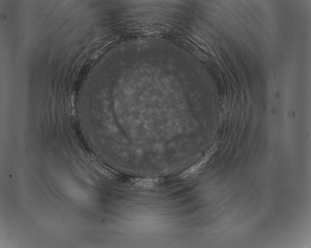 X0000087370182200705181226