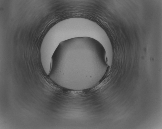 X0000087370188200705181226