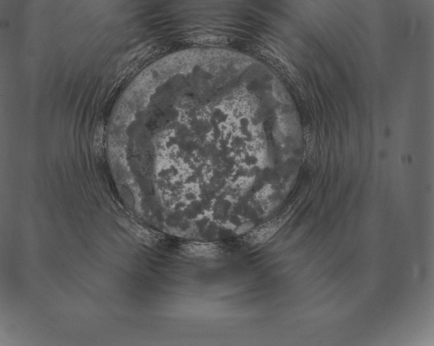 X0000087370189200705181226