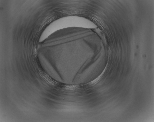 X0000087370190200705181226