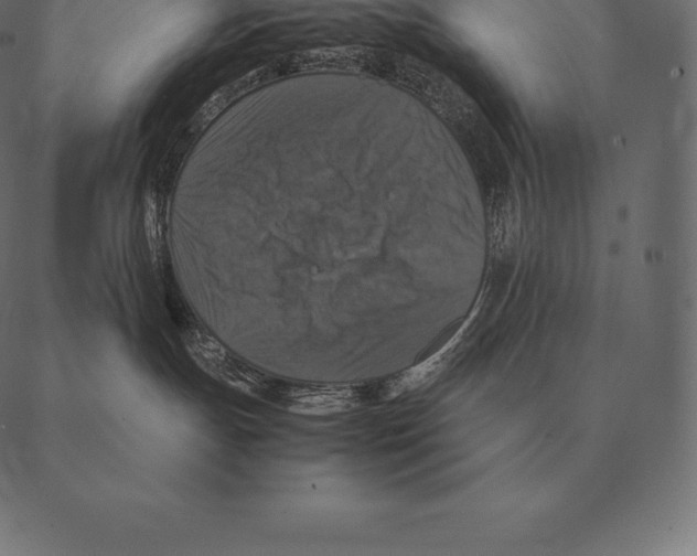 X0000087370191200705181226