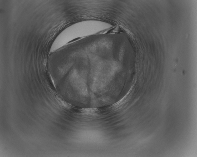 X0000087370192200705181226