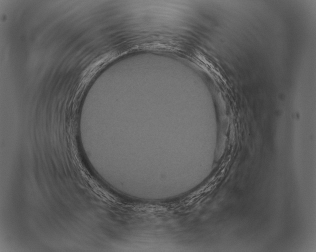 X0000087370193200705181225