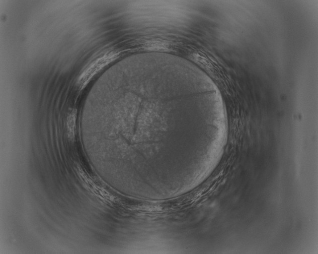 X0000087370194200705181225