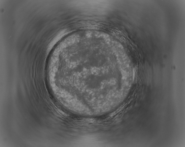 X0000087370195200705181225