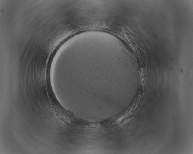 X0000087370196200705181225