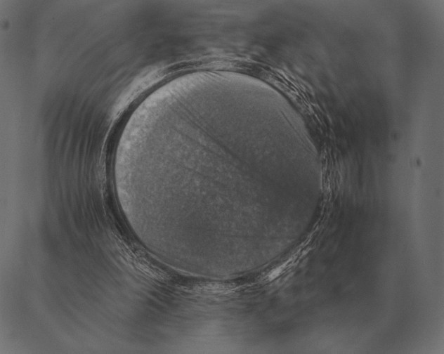 X0000087370198200705181225