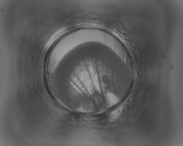 X0000087370199200705181225