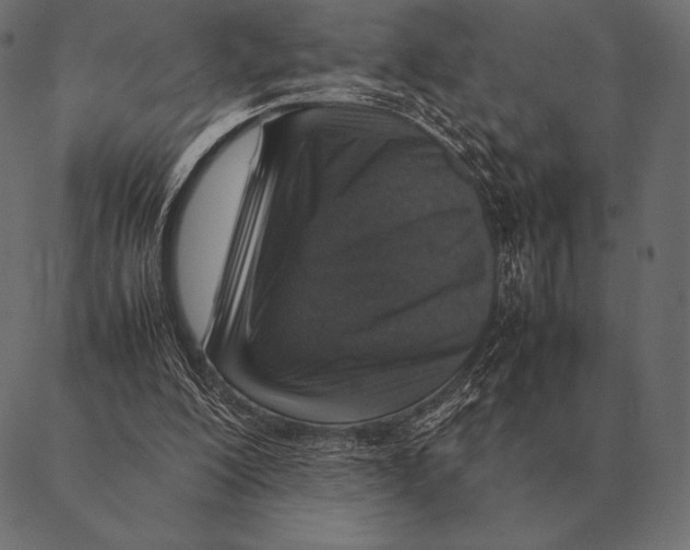 X0000087370200200705181225