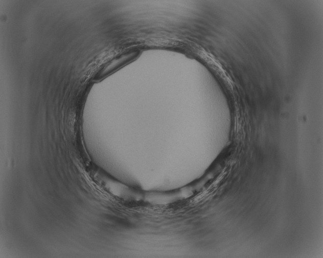 X0000087370201200705181225