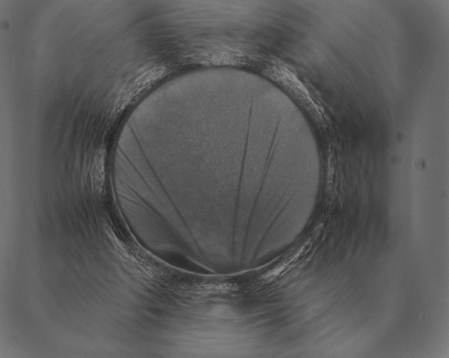 X0000087370202200705181225