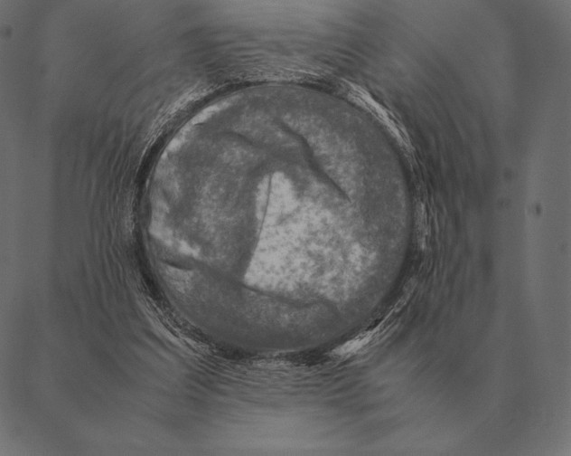 X0000087370203200705181225