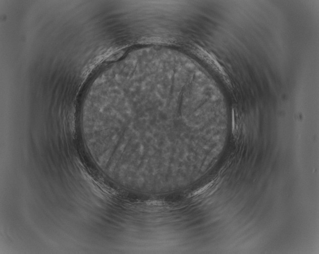 X0000087370204200705181225